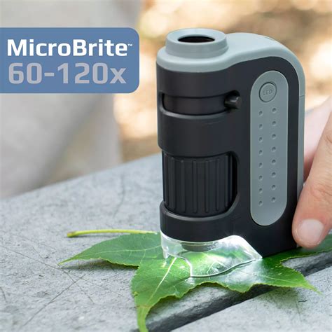 microscope ocular lens|Everything About Microscope Eyepieces – Carson .